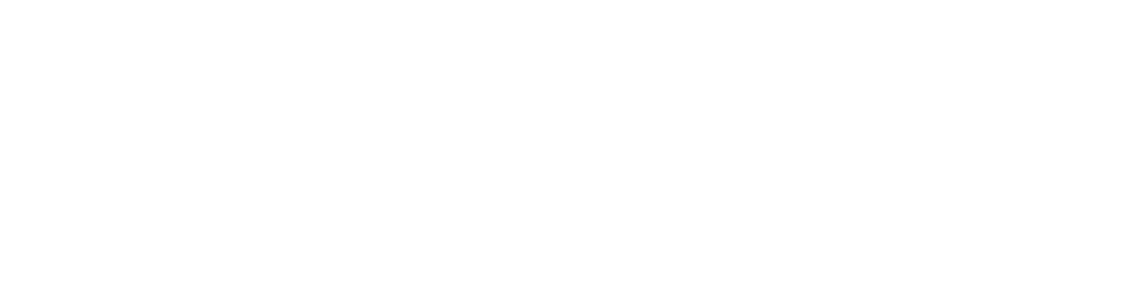 WT World Analytics logo White letters